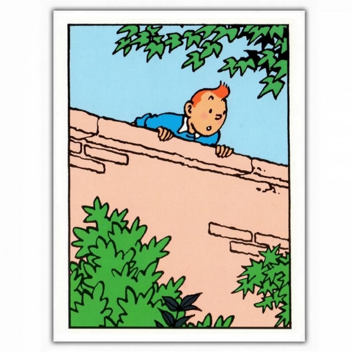 GREETING CARD: Tintin Wall