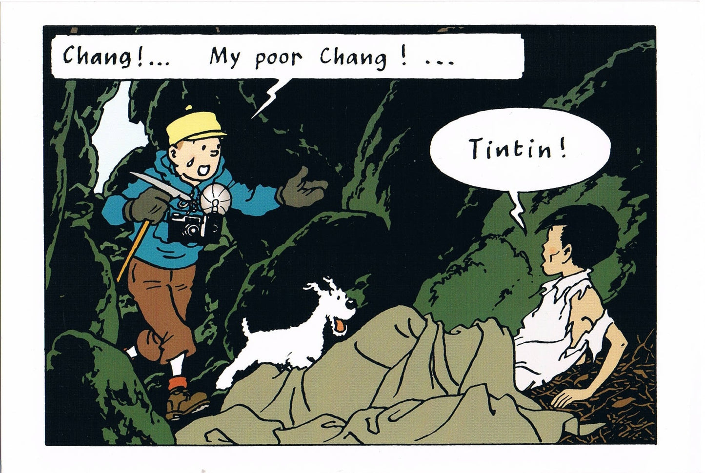 POSTCARD: Tibet Tchang