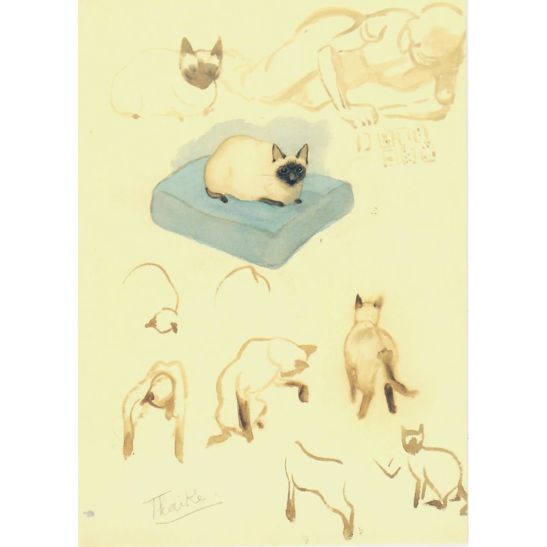 POSTCARD: Museum - Cats