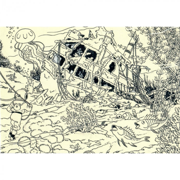 POSTCARD: Museum - Unicorn Diving