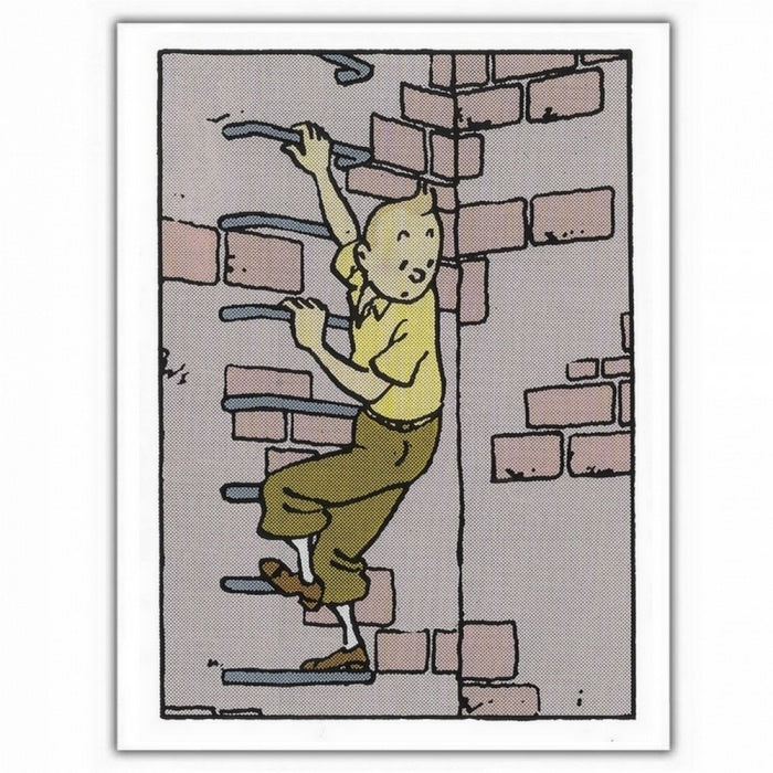 GREETING CARDS: Tintin Climbing Down