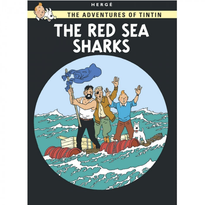 ENG COVER POSTCARD: #19 - The Red Sea Sharks
