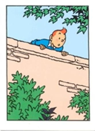 GREETING CARDS: Tintin Wall
